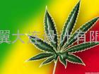 平面与设计艺术家的形式创造|海芝翼|大连设计|平面设计公司