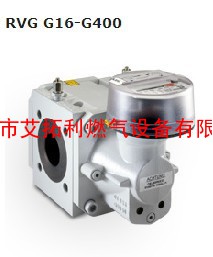 ELSTER埃尔斯特RVG G16-G400系列腰轮流量计