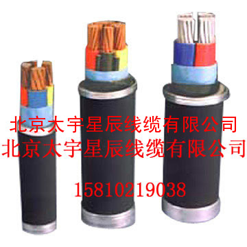 ZR-YJV电缆，YJLV22电缆，硅橡胶电缆