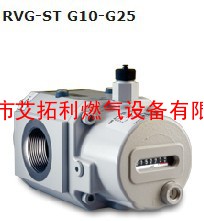 ELSTER埃尔斯特RVG ST G10- G25腰轮流量计