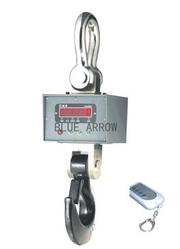 20吨悬挂式电子秤