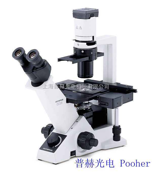 奥林巴斯荧光倒置显微镜