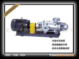 DN50-6进口高温高压多级泵