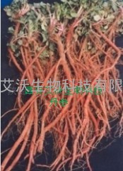 丹酚酸B丹参提取物丹参酸B优质丹酚酸B厂家艾沃生物