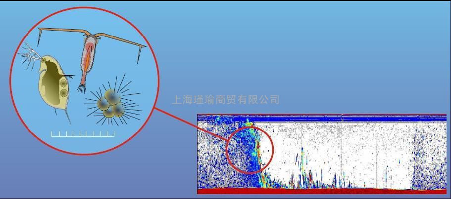 浮游动物在线监测系统 AWCP浮游动物回声探测仪