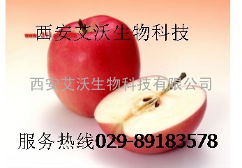 苹果多酚 优质苹果多酚 批发苹果多酚 苹果多酚厂家 艾沃生物