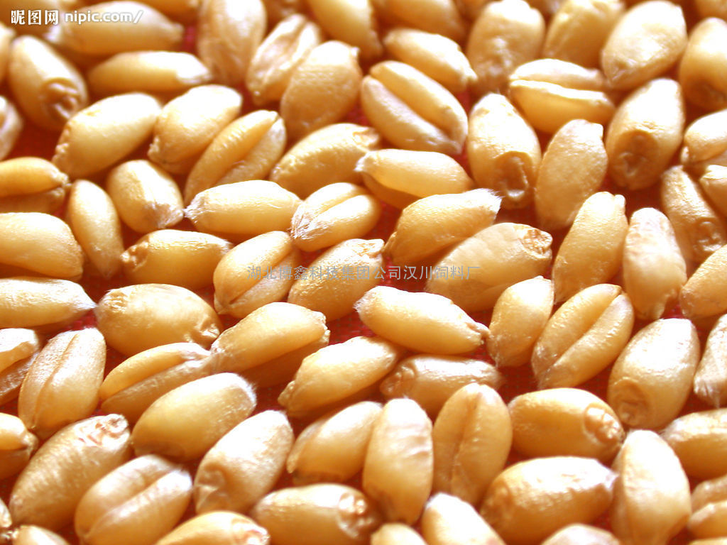 玉米、大麦、小麦、棉（菜）粕、大豆、豆粕、油糠、碎米、麸皮、高粱鱼粉等其它饲料原料