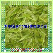 厂家现货供应绿茶提取物50%,98%