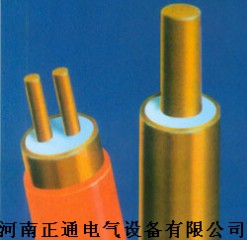 郑州BTTQ-500矿物绝缘电缆