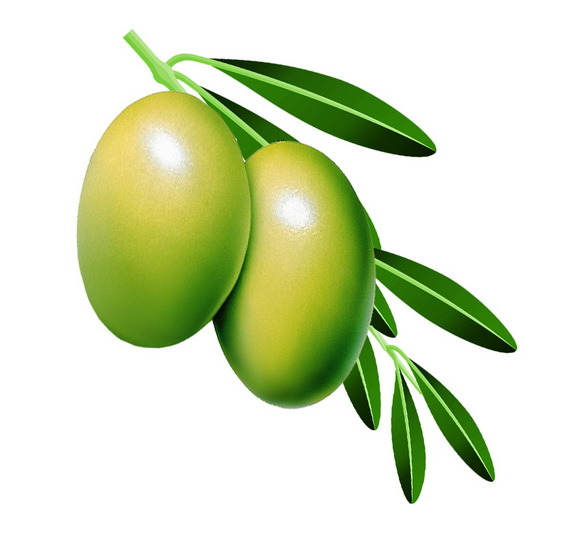 橄榄叶提取物（10%—40%）