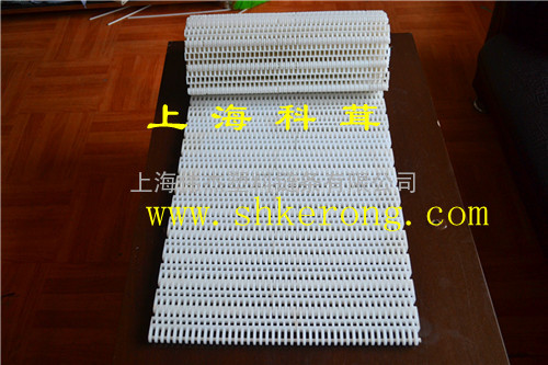 塑料网带DGF塑料网带￥价格NBJ上海塑料网带厂家