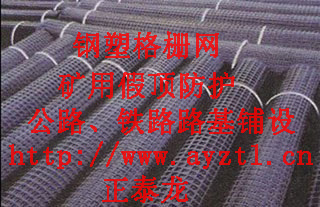 钢塑网—广西玉林矿用钢塑网