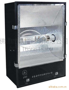 供应上海亚明 亚字牌ZYQ-3 1000W网球场灯