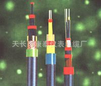 船用控制电缆CKVV/DA 船用电缆 KJV CKJV92