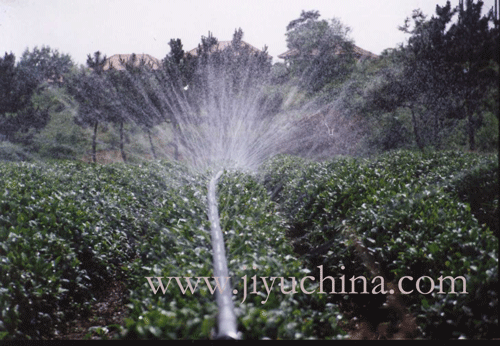 喷水带|微喷带|蔬菜喷灌|果树灌溉