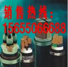 FG高温防腐电缆，FG22高温氟塑料电缆，FF46,FF46P,FF46-22,ZR-F46,ZR-