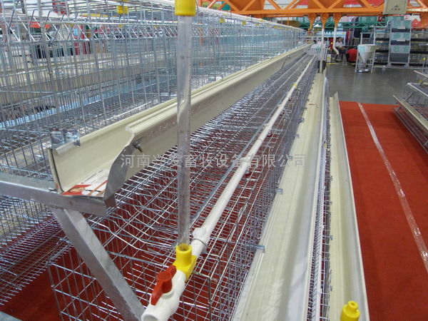 河南鸡笼厂，国标质量，使用寿命可达到12年以上