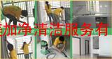 深圳布吉清洁公司 新楼盘开荒清洁 清洗地毯