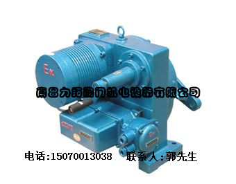 DKJ-4100B DKJ-5100B防爆型电动执行器