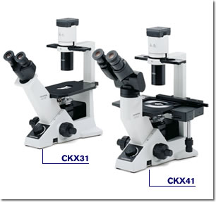 北京专用制药奥林巴斯CKX31/CKX41倒置显微镜