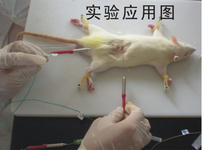 超微型插入式温度探头