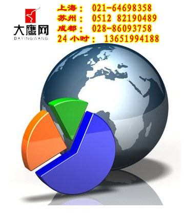 上海网站优化公司，英文网站优化，优化公司-大鹰网