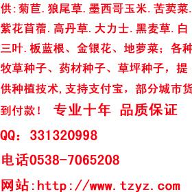 养鹅用什么牧草种子www.tzyz.com