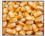 玉米大豆高梁大小麦粕类等饲料原料