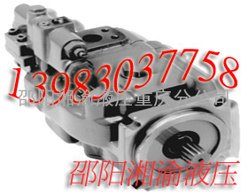 PVH141R13AG30A250000001001AE010A