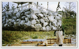 南宁石笼网报价，南宁石笼网销售，广西石笼网生产