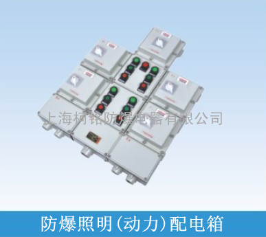 BXM(D)81防爆配电箱（挂墙式/立地式）