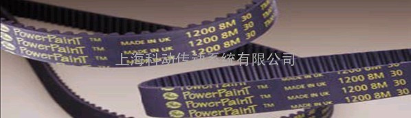 Gates PowerPaint 同步带 同步皮带