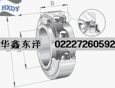 NSK外球面球轴承 203-KRR-AH05 TC骨架油封300*360*15 SBB油封