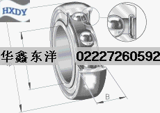 SKF外球面球轴承 204-KRR TC 300*350*16内骨架油封