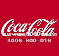 Cocacola audit