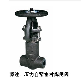 Z61Y压力自紧密对焊闸阀