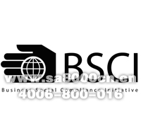 BSCI audit consulting/Audit consulting