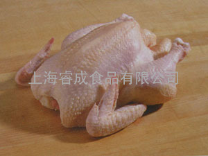 SH冷冻整鹅整鸭整鸡等副产品批发 上海睿成食品