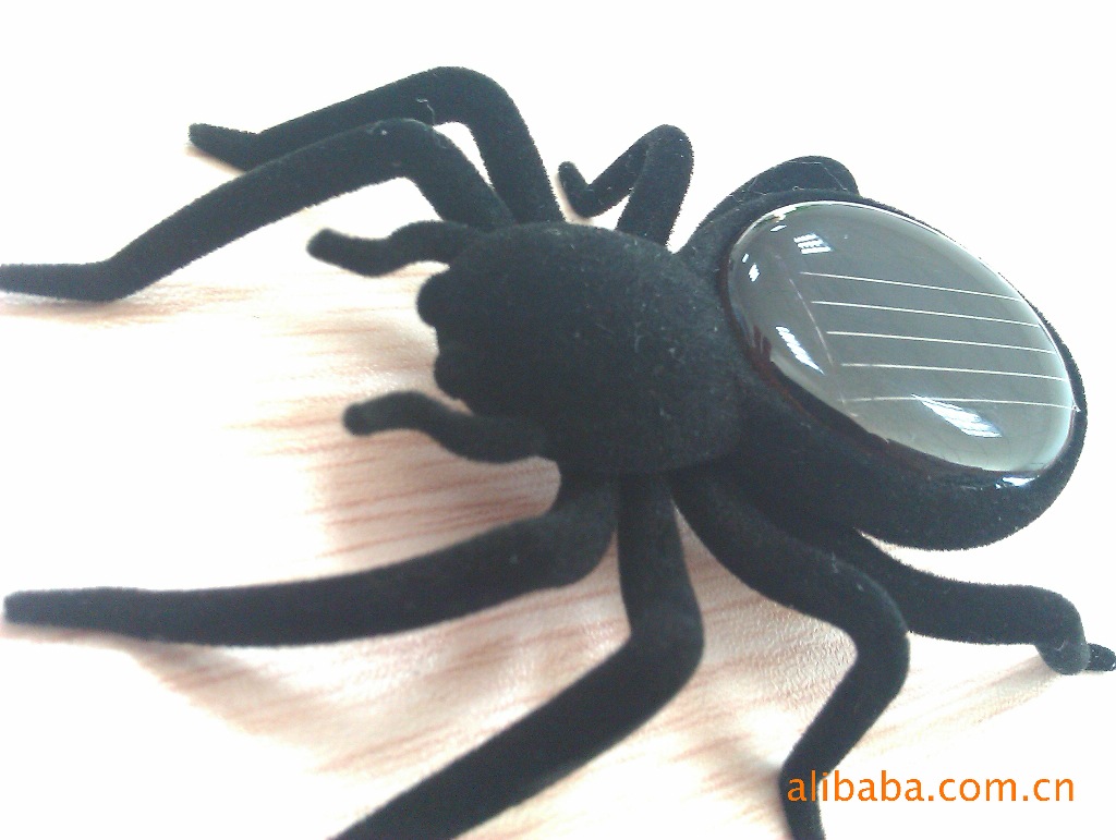 太阳能蜘蛛 太阳能宠物 太阳能宠物玩具 太阳能蜘蛛玩具 太阳能虫子玩具
