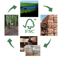 fsc audit consulting(Shanghai)