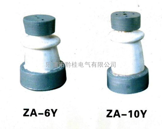 ZA-6-10Y电站用高压户内外支柱绝缘子　