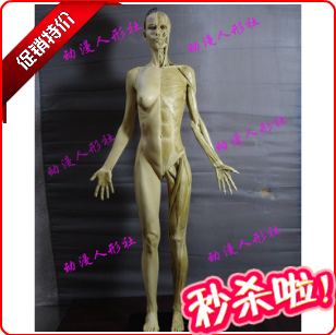 pu版45cm艺用女版人体肌肉骨骼解剖模型 美术女人体 解剖结构手办