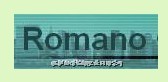 代理ROMANO测量系统