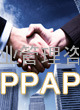 生产件批准过程PPAP
