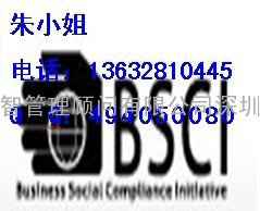 BSCI认证机构应具备哪些条件