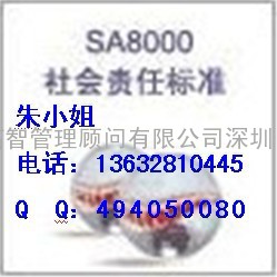 SA8000涉及的主要问题