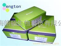 OMEGA　超薄柱型琼脂糖凝胶回收试剂盒