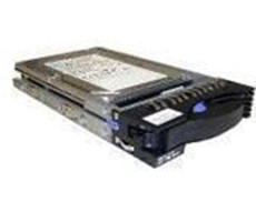 IBM 5223 硬盘 300G 2GB FC 10K DS4700