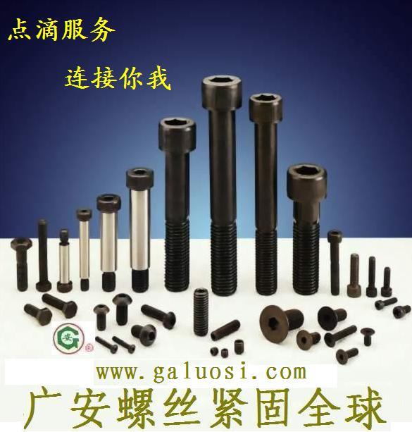 广州不锈钢高强度热镀锌螺栓螺丝螺钉螺母