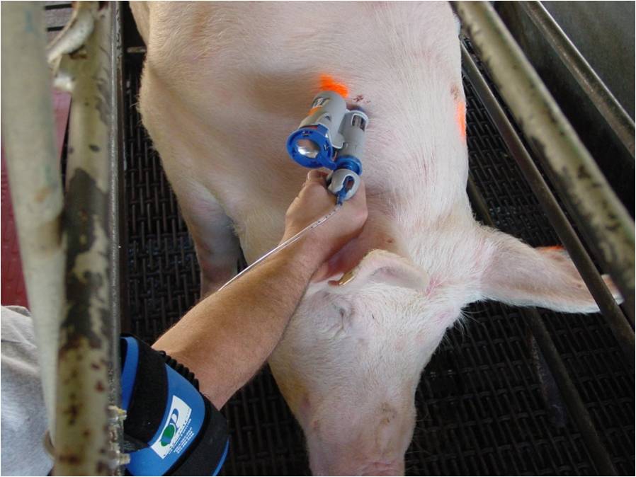 动物注射用自动标识型管式连续注射器